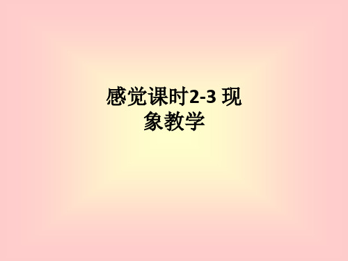 感觉课时2-3 现象ppt课件