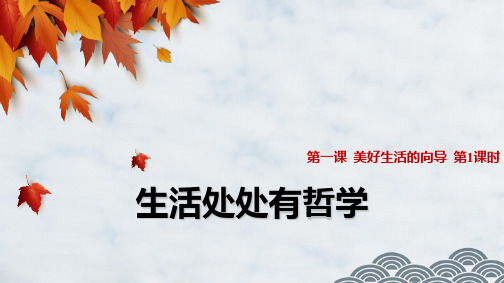 高中政治必修4精品课件12:1.1 生活处处有哲学