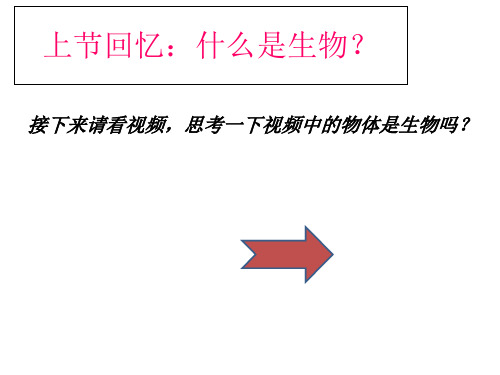 七年级生物生物的特征(共26张PPT)优秀课件