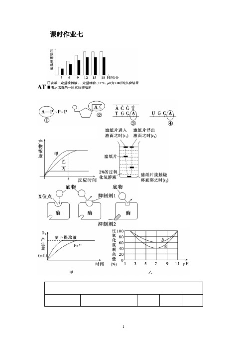 2022届高考生物一轮复习《ATP与酶》课时作业