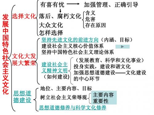 2010文化生活第9、10课复习课件(新人教必修3)