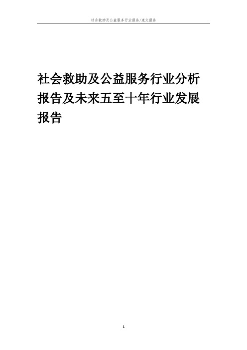 2023年社会救助及公益服务行业分析报告及未来五至十年行业发展报告