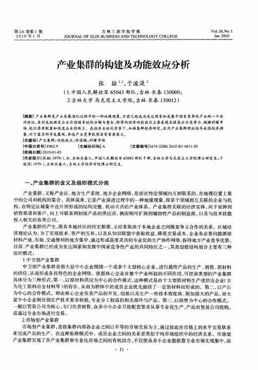 产业集群的构建及功能效应分析