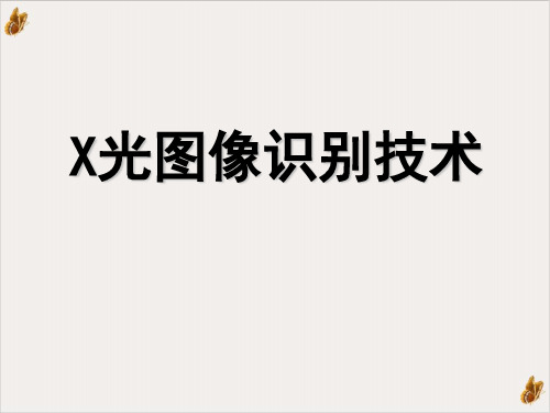 X光图像识别技术PPT演示课件(49页)