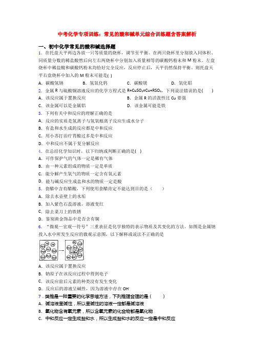 中考化学专项训练：常见的酸和碱单元综合训练题含答案解析