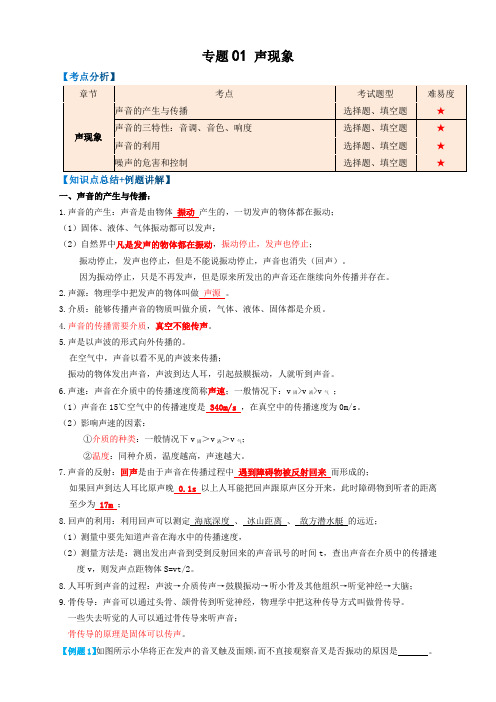 2023年中考物理复习-专题01声现象(知识点复习+例题讲解+过关练习)-备战2023年中考物理一轮