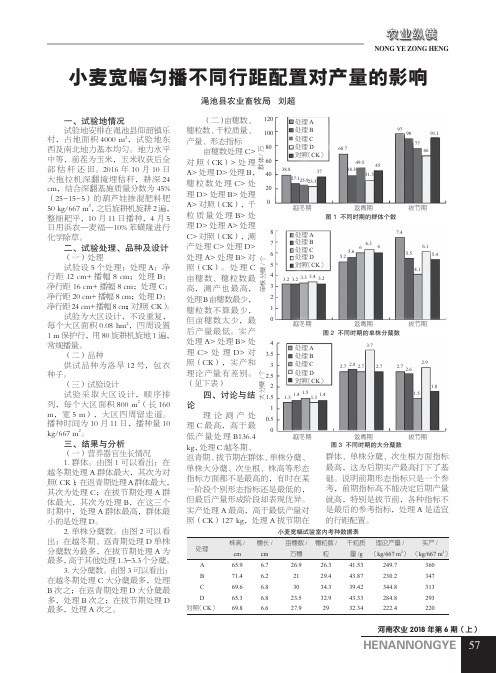 小麦宽幅匀播不同行距配置对产量的影响