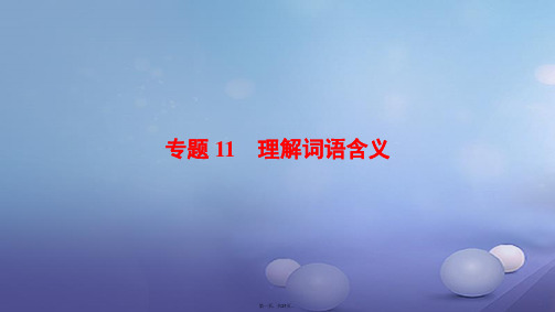 湖北省宜昌市中考语文总复习第2部分专题11理解词语含义课件