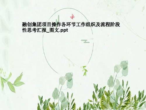 融创集团项目操作各环节工作组织及流程阶段性思考汇报_图文