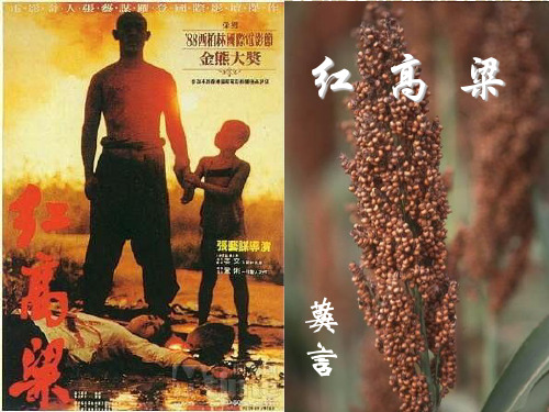 罗汉大爷--红高粱