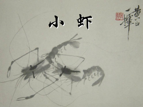 北师大第五册11《小虾》1