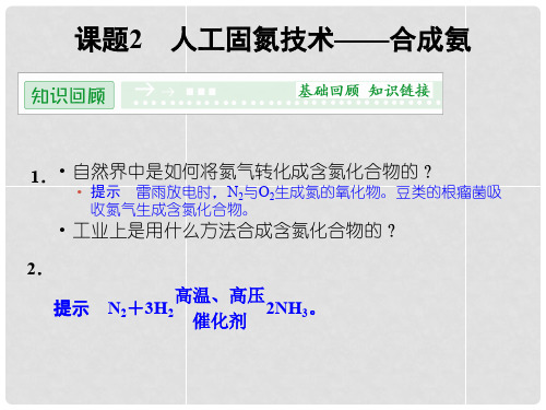 高中化学 1.2 人工固氮技术 合成氨课件 新人教版选修2