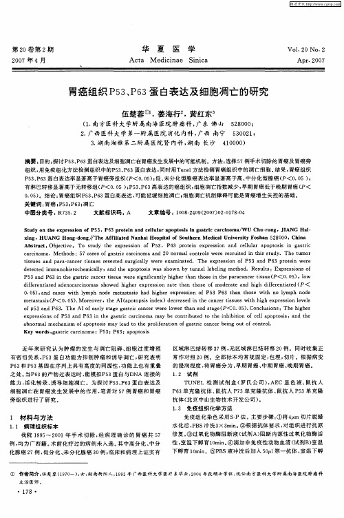 胃癌组织P53、P63蛋白表达及细胞凋亡的研究