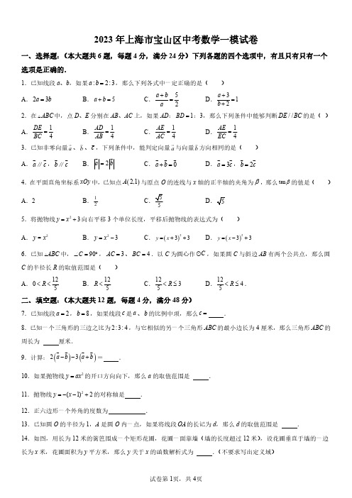 2023年上海市宝山区中考数学一模试卷含详解