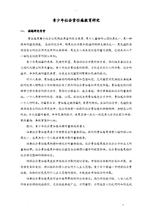 青少年社会责任感研究报告