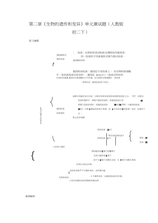 第二章《生物的遗传和变异》单元测试题(人教版初二下)