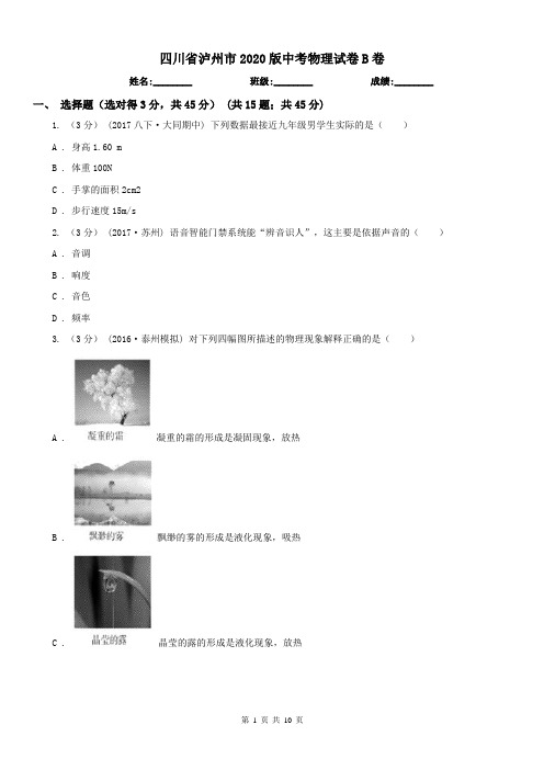 四川省泸州市2020版中考物理试卷B卷