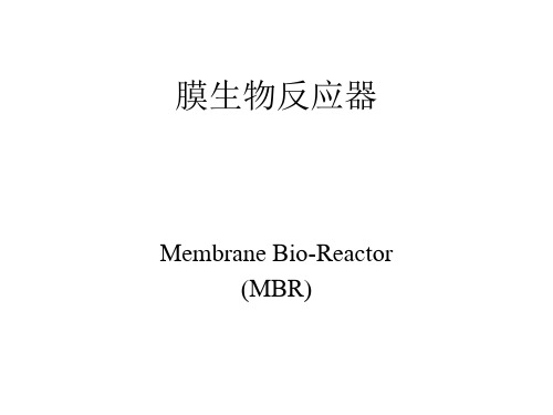 膜分离工程 第九章 MBR