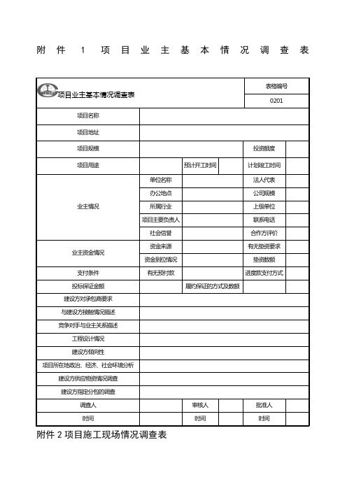 《项目管理手册》公司新表格