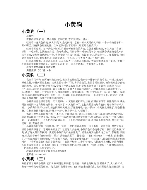 小黄狗作文共九篇