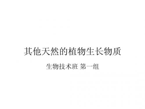 第一组  其他天然的植物生长物质