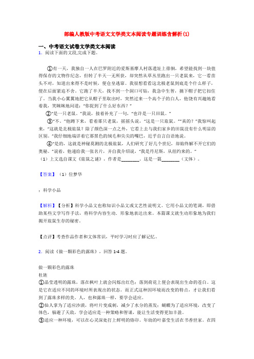 部编人教版中考语文文学类文本阅读专题训练含解析(1)