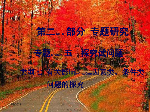 中考化学 第二部分 专题研究五 探究性问题 类型七 有关影响因素类、条件类课件