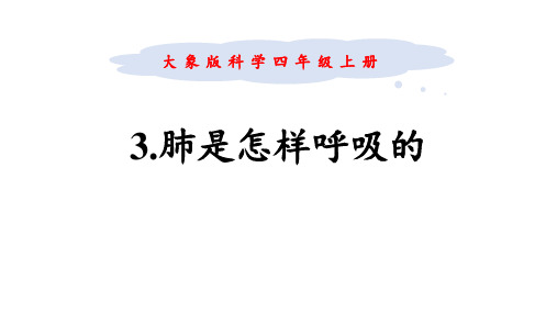 《肺是怎样呼吸的》科学教学PPT课件(2篇)