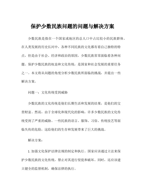 保护少数民族问题的问题与解决方案