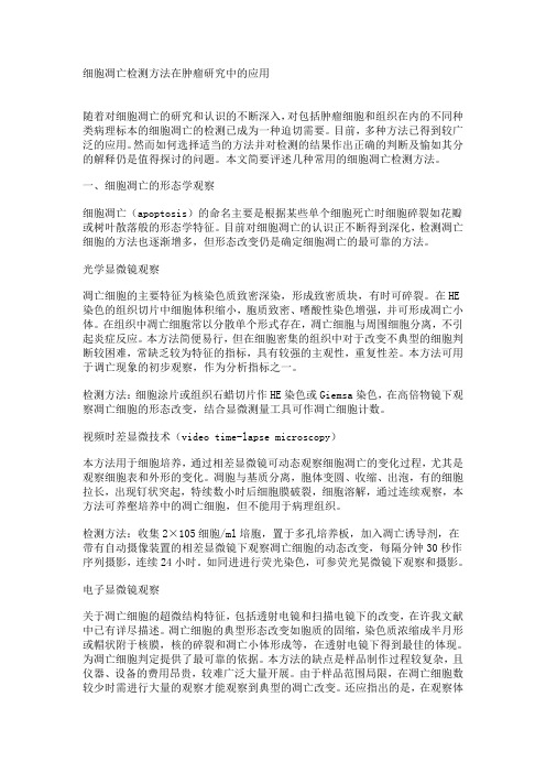 细胞凋亡检测方法在肿瘤研究中的应用