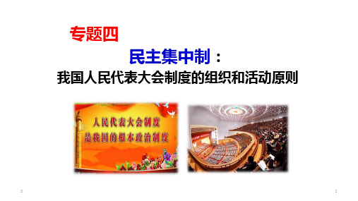 高中政治人教版选修三专题 4.2 按照民主集中制建立的新型政体 课件(共19张PPT)