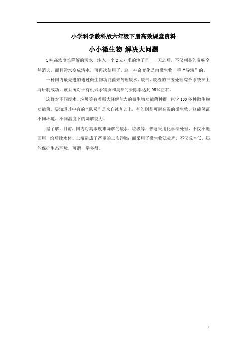 小学科学教科版六年级下册高效课堂资料小小微生物 解决大问题