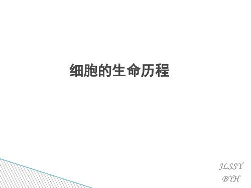 细胞的生命历程——生长、增殖ppt课件