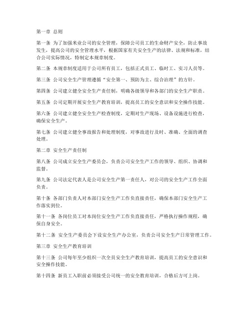 米业公司安全规章制度