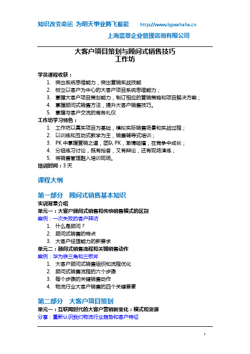 大客户项目策划与顾问式销售技巧工作坊