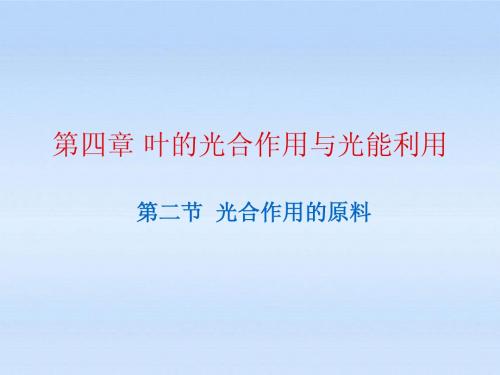 八年级生物上册 第四章第二节光合作用的原料课件 冀教版