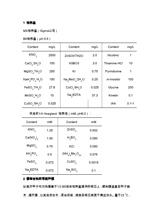 拟南芥种植及处理基本方法