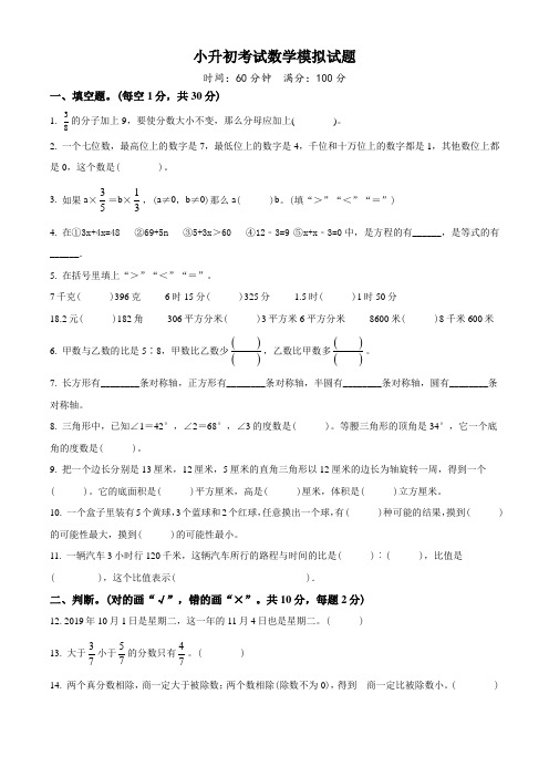 人教版小升初《数学考试题》含答案解析