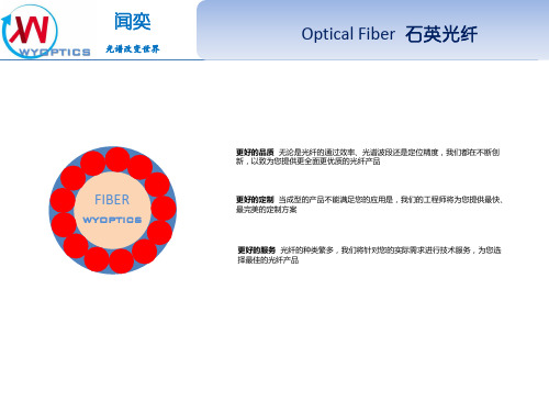 SMA905光纤跳线