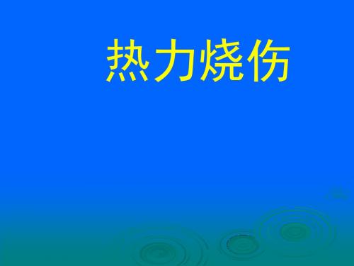 14-热力烧伤