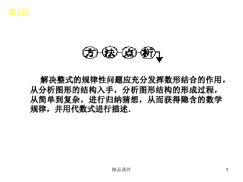 【精品教学课件】2020(新增5页)教版中考数学复习解题指导：第3讲 整式及因式分解_21-24