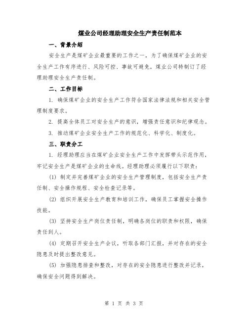 煤业公司经理助理安全生产责任制范本