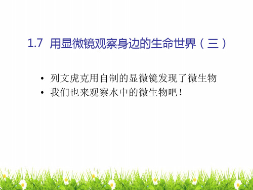 最新教科版小学科学六年级下册《用显微镜观察身边的生命世界(三)》精品教学课件