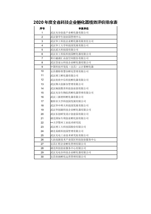 2020年度全省科技企业孵化器绩效评价排序表【模板】