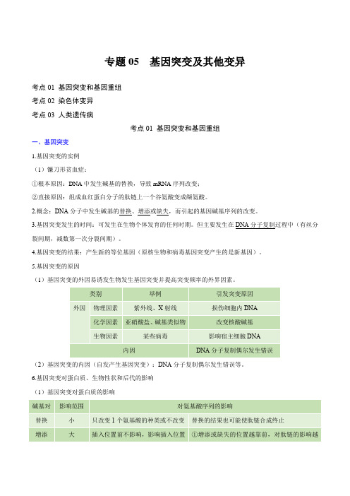 专题05基因突变及其他变异(知识梳理)2024年高中生物学业水平考试必备考点归纳与测试(新教材专用)