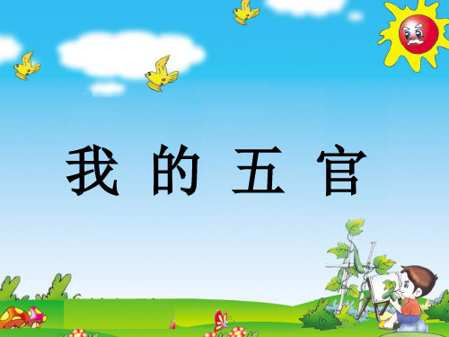 幼儿园小班健康《我的五官》课件