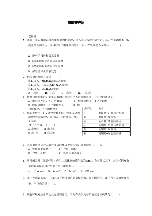 4.3细胞呼吸每课一练11(苏教版必修1)