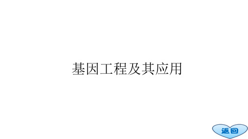 人教版必修2生物：6.2 基因工程及其应用 课件(共36张PPT)