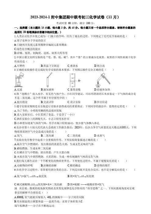 湖南省长沙市师大附中集团2023-2024学年九年级上学期期中联考化学试卷 