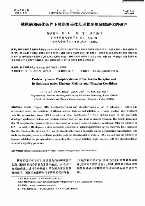 糖尿病和硝化条件下胰岛素受体及底物酪氨酸磷酸化的研究